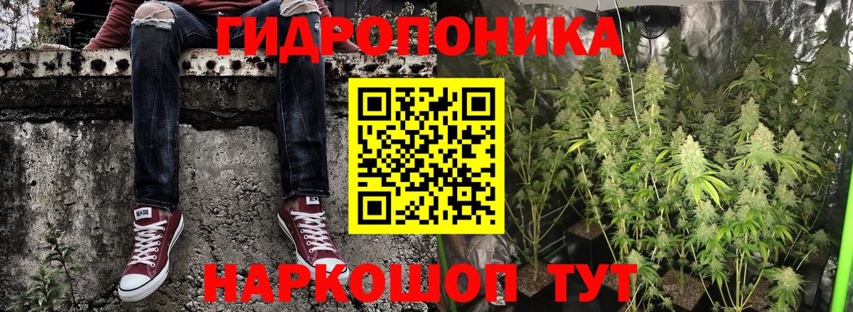 Дмитров  Марихуана SATIVA & INDICA  Марихуана семена  Вход с VPN 